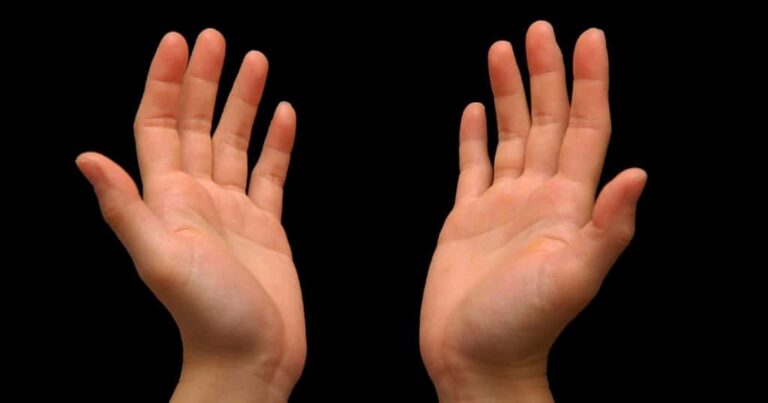 La muñeca humana guarda el secreto de nuestros antepasados: así evolucionó la mano que creó herramientas