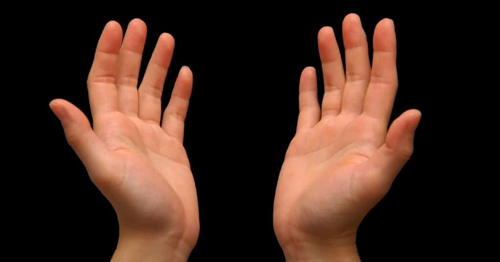 La muñeca humana guarda el secreto de nuestros antepasados: así evolucionó la mano que creó herramientas